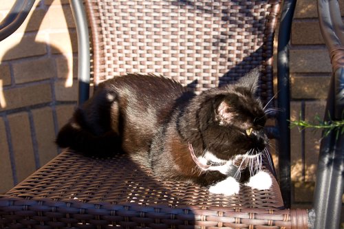 Emma_2008-07-12_IMG_0262